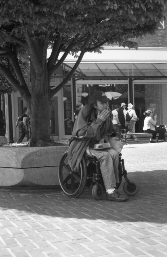 Picture 006 Picture 006