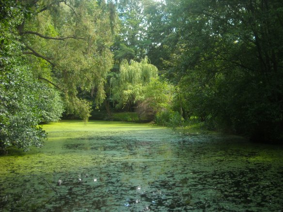 Picture 277 Picture 277