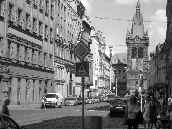 Picture 297 Picture 297