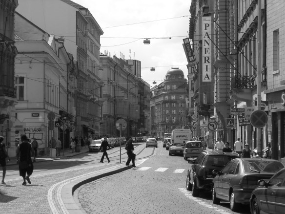 Picture 301 Picture 301