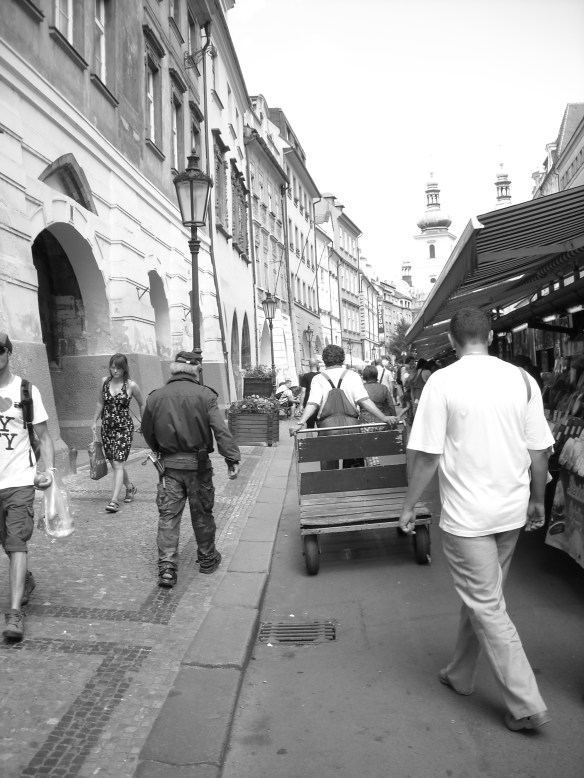 Picture 304 Picture 304