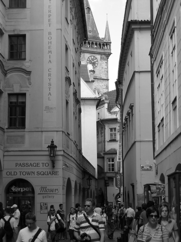 Picture 305 Picture 305