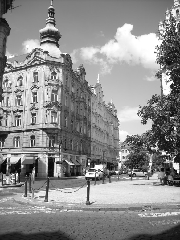 Picture 306 Picture 306