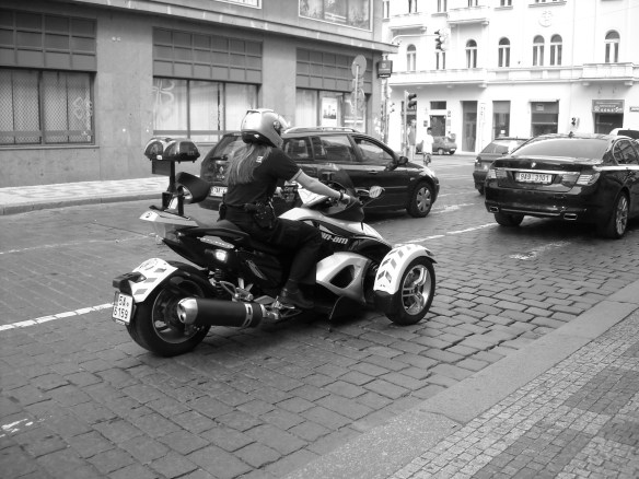 Picture 307 Picture 307