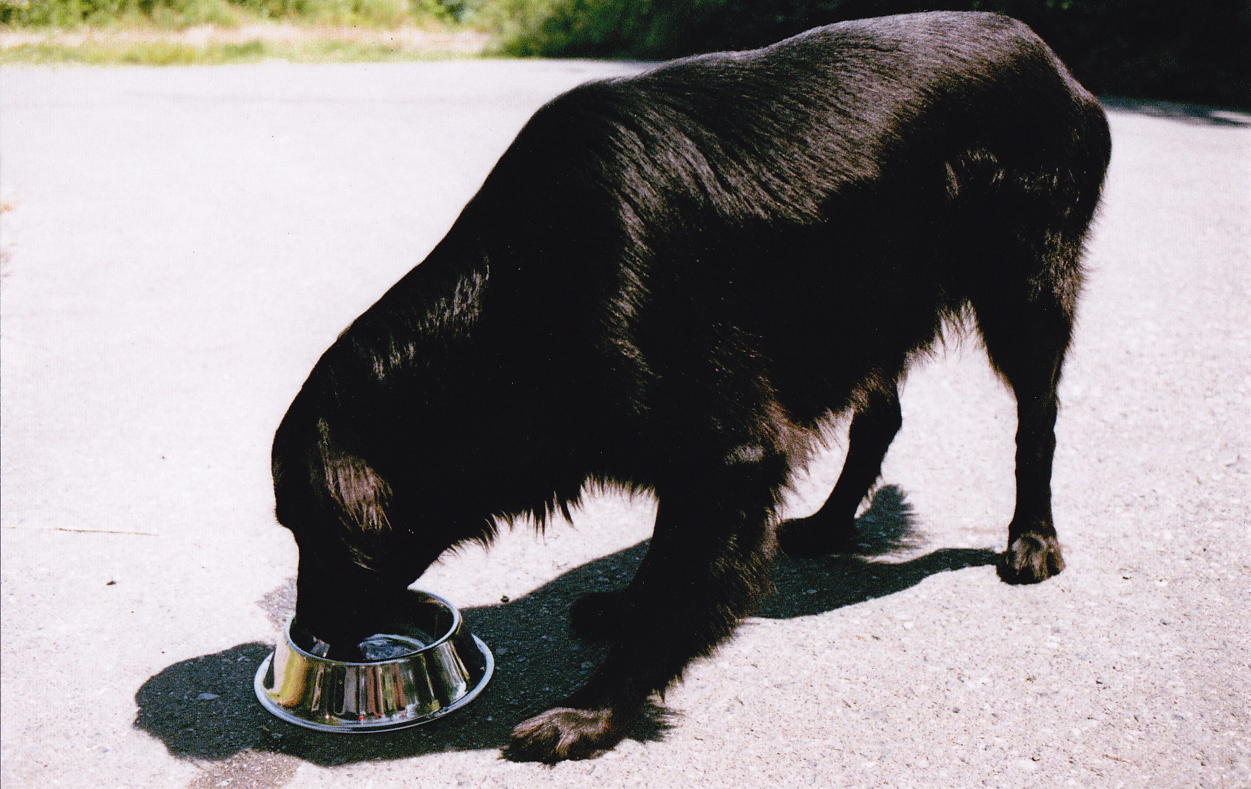 summercampingblog_0013