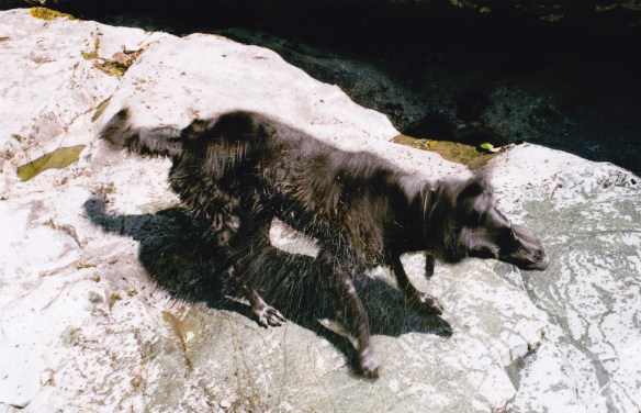 summercampingblog_0016