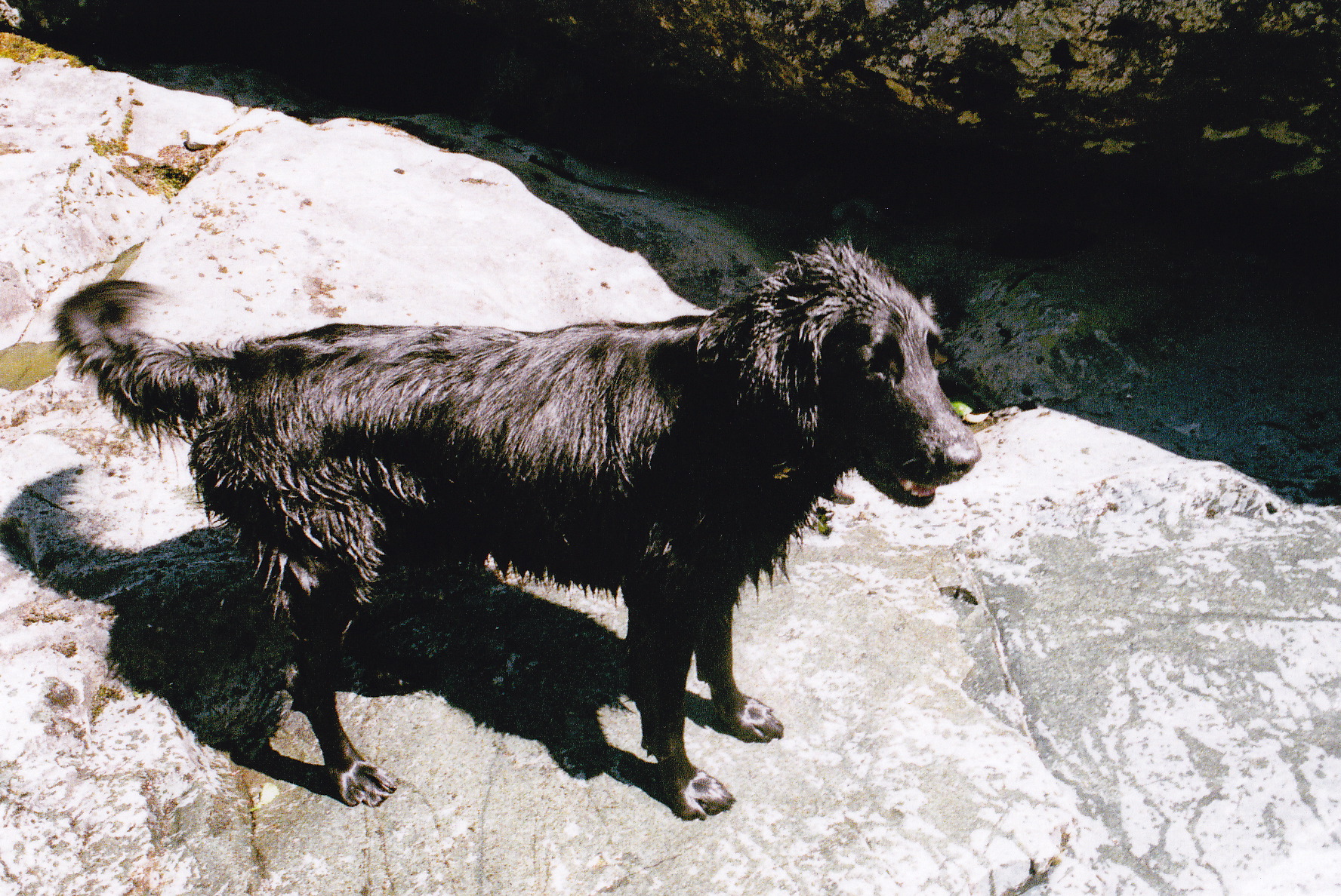 summercampingblog_0017