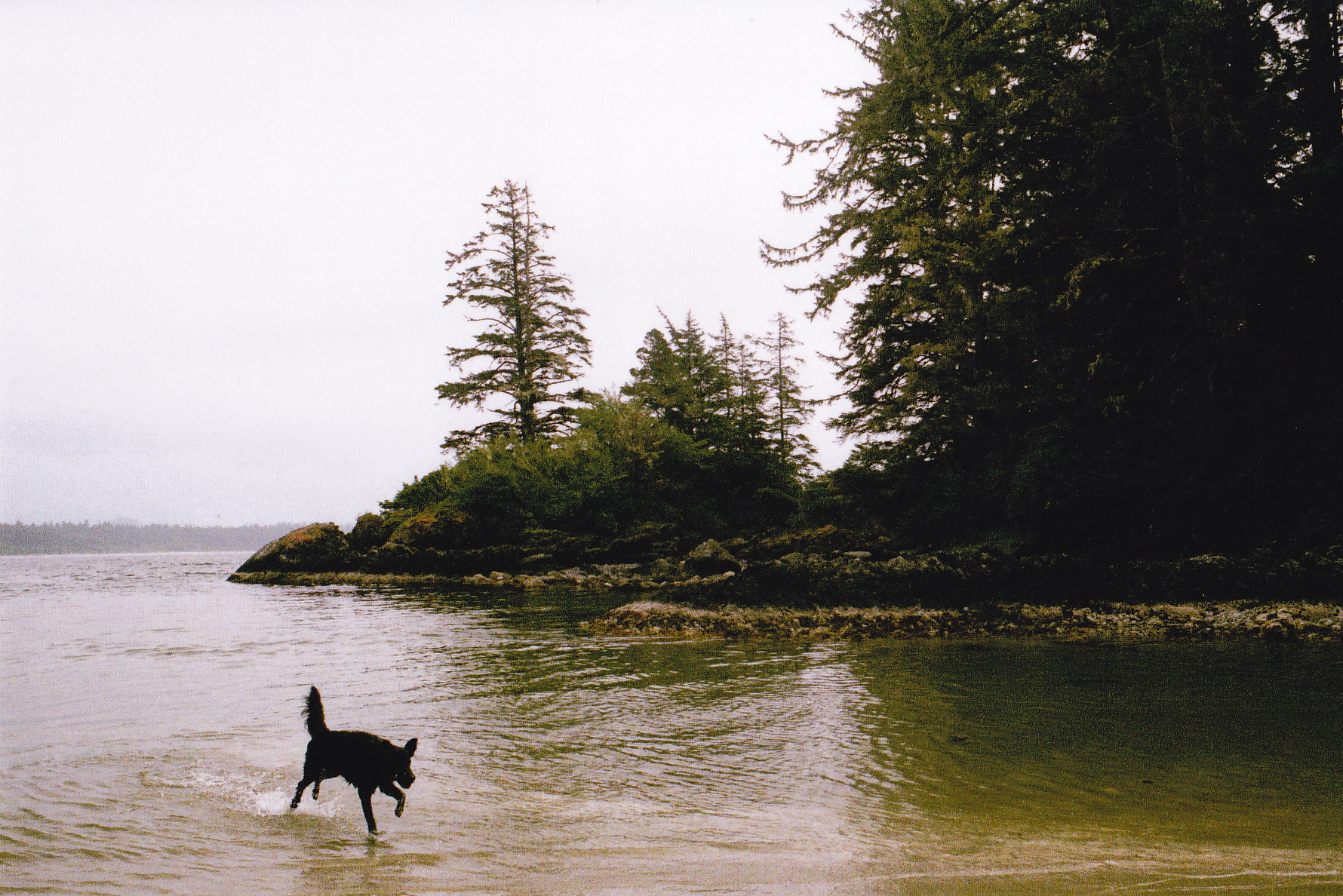 summercampingblog_0022