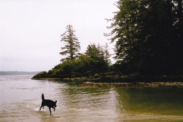 summercampingblog_0022