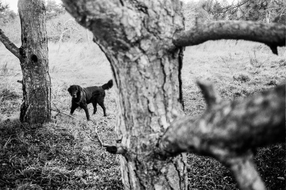 Autosave-File vom d-lab2/3 der AgfaPhoto GmbH