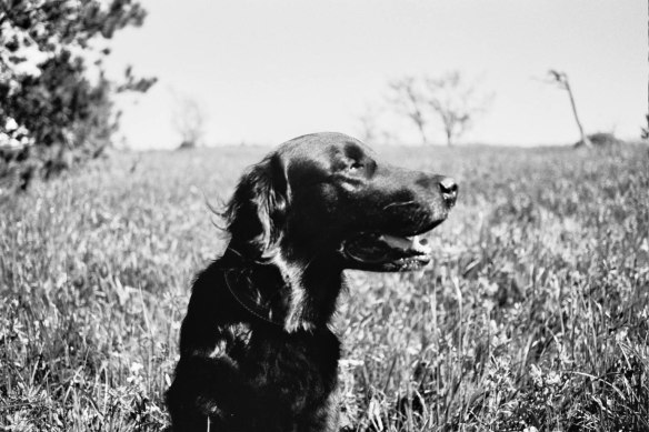 Autosave-File vom d-lab2/3 der AgfaPhoto GmbH