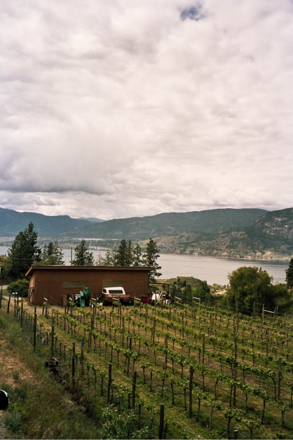 Autosave-File vom d-lab2/3 der AgfaPhoto GmbH