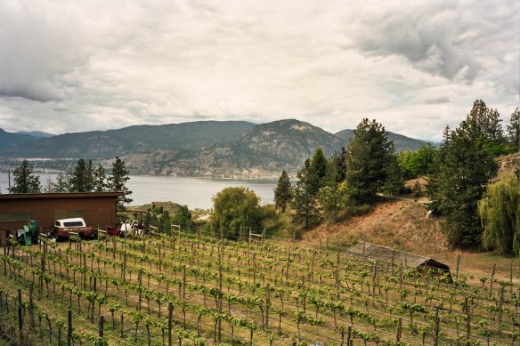 Autosave-File vom d-lab2/3 der AgfaPhoto GmbH