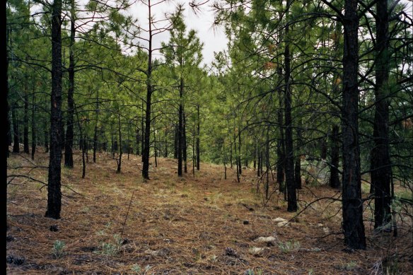 Autosave-File vom d-lab2/3 der AgfaPhoto GmbH