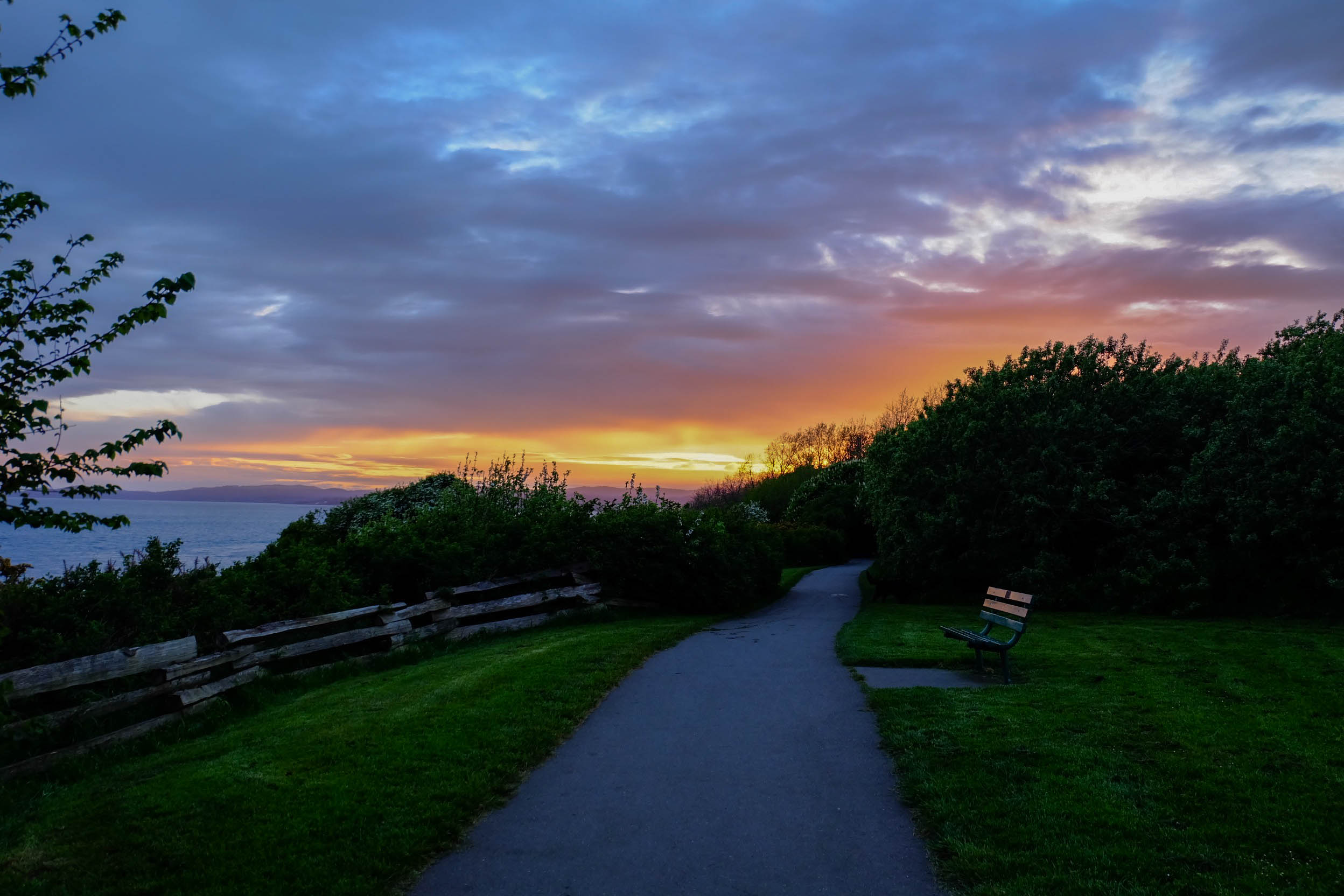 forestsunsetstreet-10