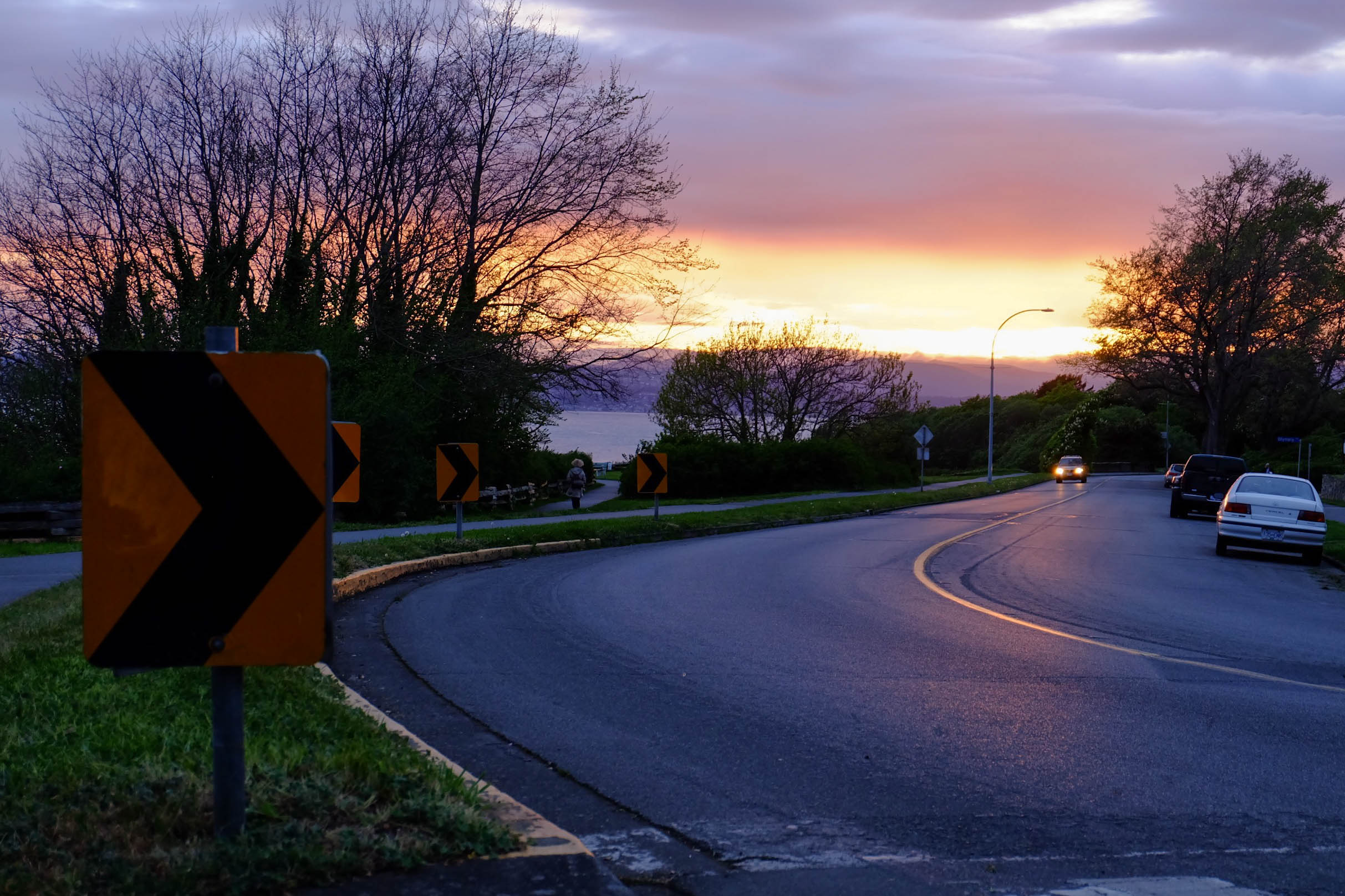 forestsunsetstreet-12