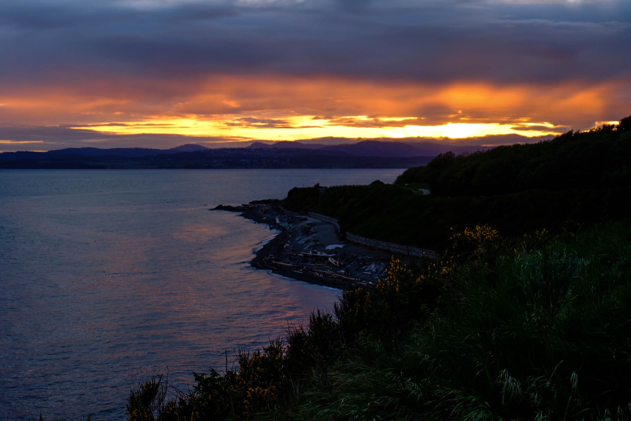 forestsunsetstreet-13