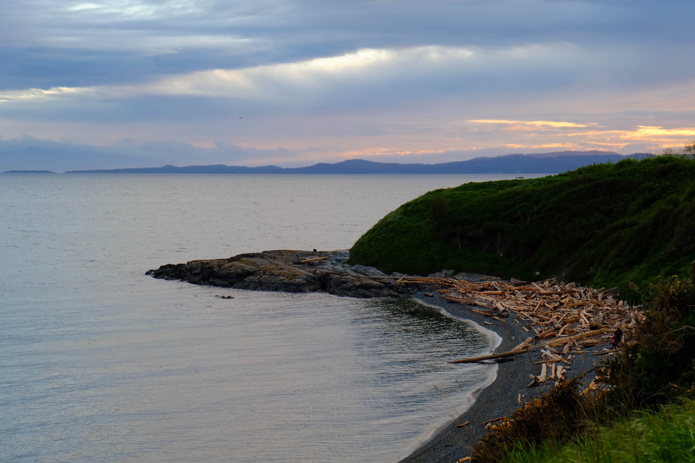 forestsunsetstreet-7