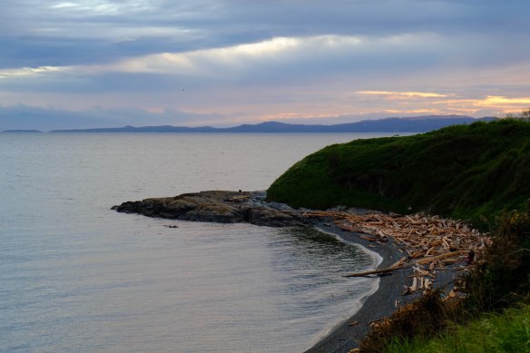 forestsunsetstreet-7