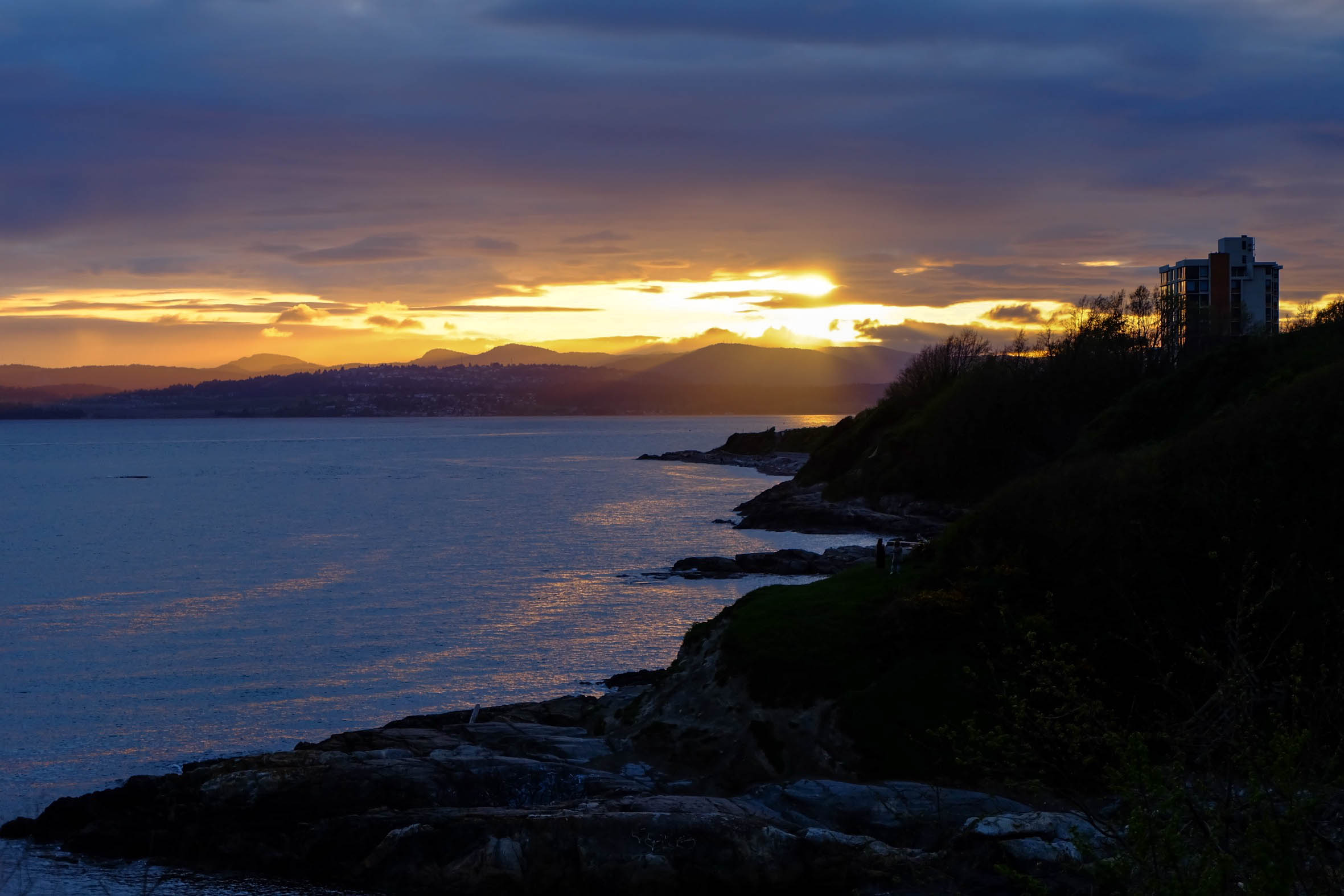 forestsunsetstreet-9