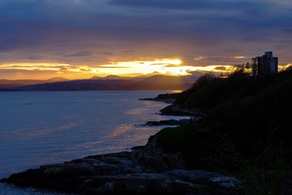 forestsunsetstreet-9