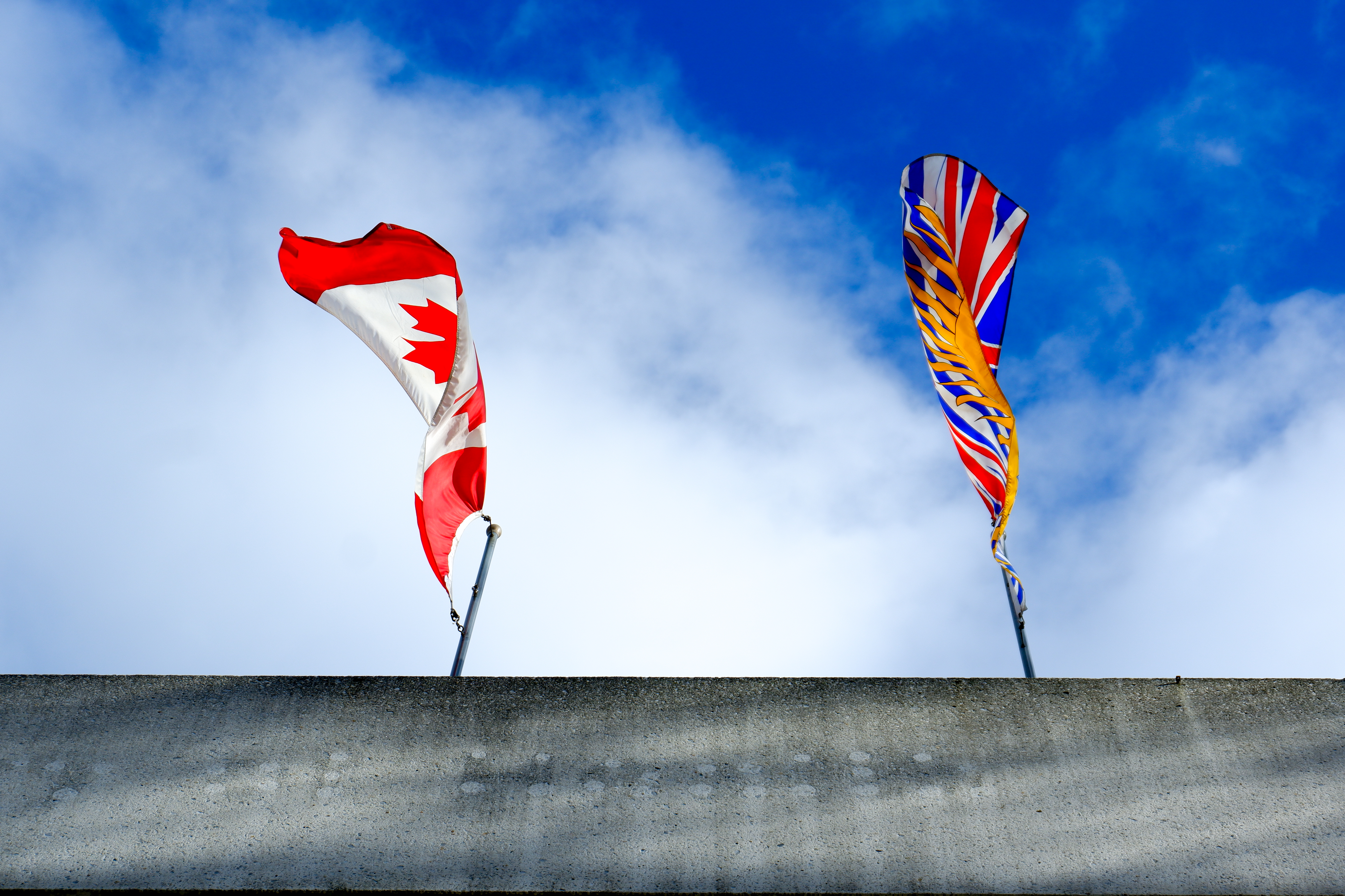 sad-protest-flags-ass-sign-18-1